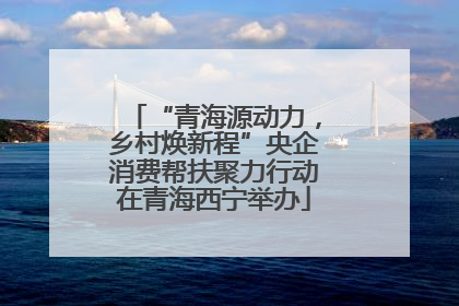 “青海源动力，乡村焕新程”央企消费帮扶聚力行动在青海西宁举办