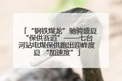 “钢铁煤龙”驰骋盛夏 “保供赛道”——七台河站电煤保供跑出迎峰度夏 “加速度”