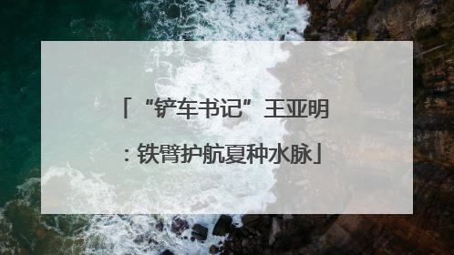“铲车书记”王亚明：铁臂护航夏种水脉