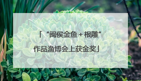 “闽侯金鱼＋根雕”作品渔博会上获金奖