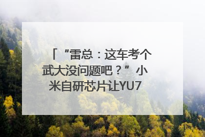 “雷总：这车考个武大没问题吧？”小米自研芯片让YU7会学习｜汽车科技