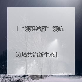“领群鸿雁”领航边境共治新生态
