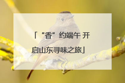 “香”约端午 开启山东寻味之旅