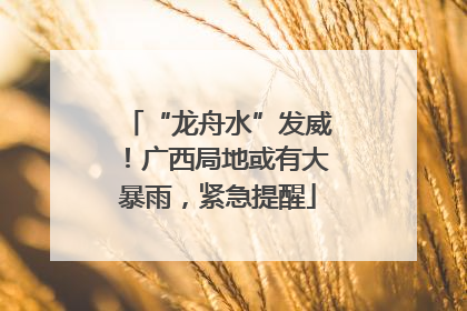 “龙舟水”发威！广西局地或有大暴雨，紧急提醒