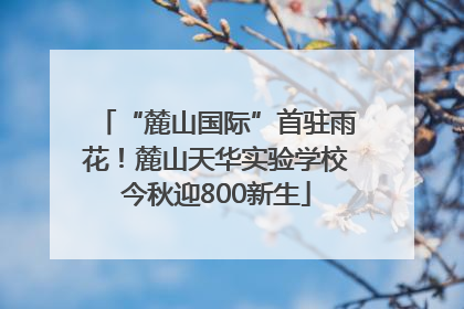 “麓山国际”首驻雨花！麓山天华实验学校今秋迎800新生