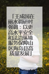 王成国在丽水调研时强调：以更高水平安全和法治环境服务保障山区海岛县高质量发展