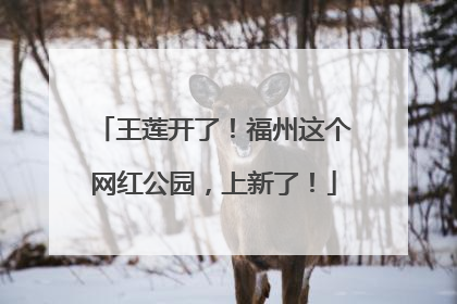 王莲开了！福州这个网红公园，上新了！