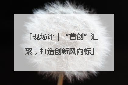 现场评｜“首创”汇聚，打造创新风向标