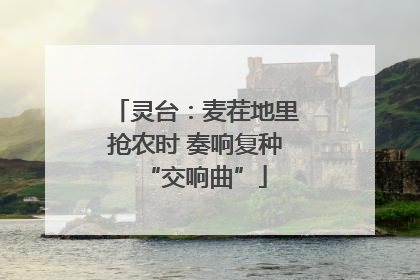 灵台：麦茬地里抢农时 奏响复种“交响曲”