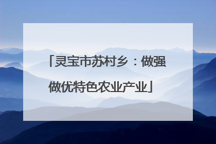 灵宝市苏村乡：做强做优特色农业产业