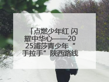 点燃少年红 闪耀中华心——2025浦莎青少年“手拉手”陕西路线丝路续新章