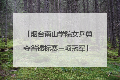 烟台南山学院女乒勇夺省锦标赛三项冠军