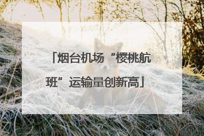 烟台机场“樱桃航班”运输量创新高