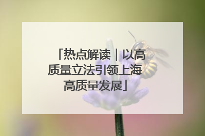 热点解读｜以高质量立法引领上海高质量发展