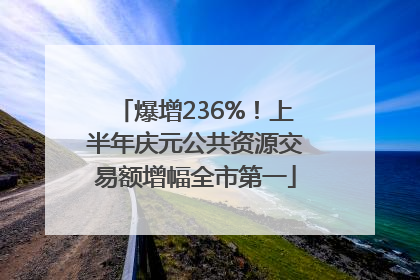 爆增236%！上半年庆元公共资源交易额增幅全市第一
