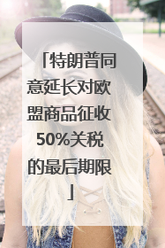 特朗普同意延长对欧盟商品征收50%关税的最后期限