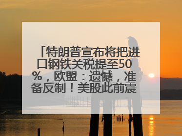 特朗普宣布将把进口钢铁关税提至50%，欧盟：遗憾，准备反制！美股此前震荡，机构：美元正进入熊市