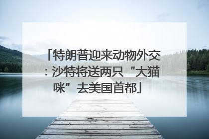 特朗普迎来动物外交：沙特将送两只“大猫咪”去美国首都