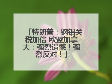 特朗普：钢铝关税加倍 欧盟加拿大：强烈遗憾！强烈反对！