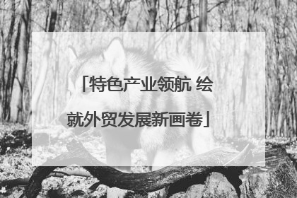 特色产业领航 绘就外贸发展新画卷