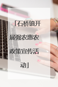 石桥镇开展强农惠农政策宣传活动