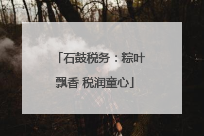 石鼓税务：粽叶飘香 税润童心