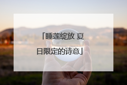 睡莲绽放 夏日限定的诗意