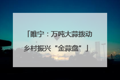睢宁：万吨大蒜拨动乡村振兴“金蒜盘”