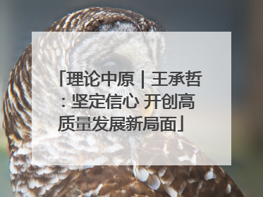 理论中原｜王承哲：坚定信心 开创高质量发展新局面