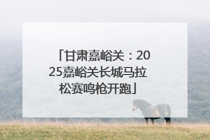 甘肃嘉峪关：2025嘉峪关长城马拉松赛鸣枪开跑