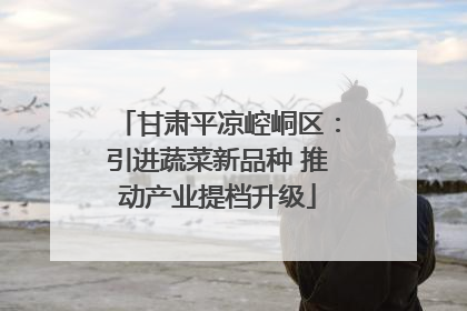 甘肃平凉崆峒区：引进蔬菜新品种 推动产业提档升级