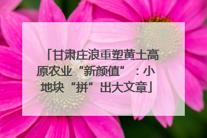 甘肃庄浪重塑黄土高原农业“新颜值”：小地块“拼”出大文章