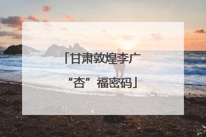 甘肃敦煌李广“杏”福密码