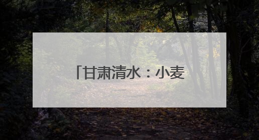 甘肃清水：小麦管理正当时 守护粮“芯”绘丰景