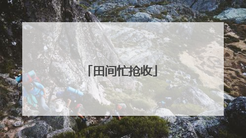 田间忙抢收