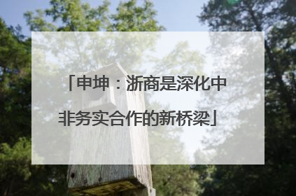 申坤：浙商是深化中非务实合作的新桥梁