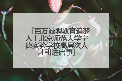 百万诚聘教育追梦人丨北京师范大学宁德实验学校高层次人才引进启事