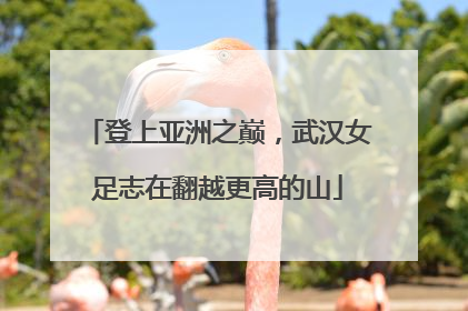 登上亚洲之巅，武汉女足志在翻越更高的山