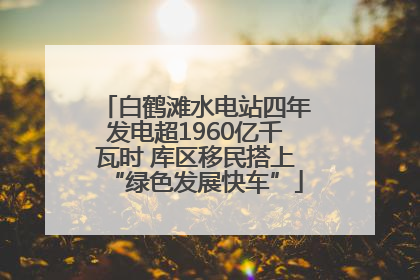 白鹤滩水电站四年发电超1960亿千瓦时 库区移民搭上“绿色发展快车”