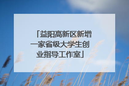 益阳高新区新增一家省级大学生创业指导工作室