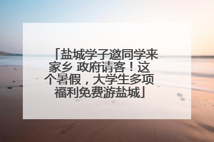 盐城学子邀同学来家乡 政府请客！这个暑假，大学生多项福利免费游盐城