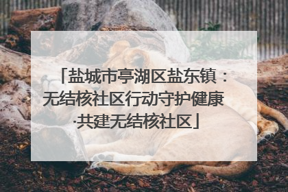 盐城市亭湖区盐东镇：无结核社区行动守护健康 ·共建无结核社区