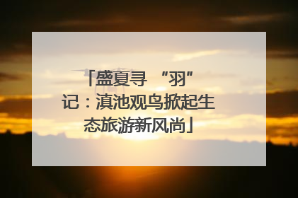 盛夏寻 “羽” 记：滇池观鸟掀起生态旅游新风尚