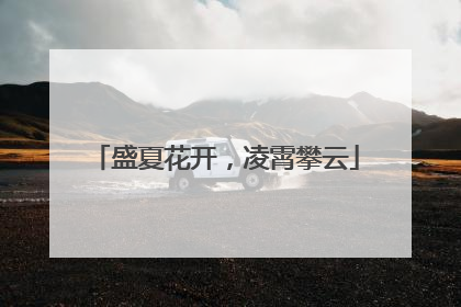 盛夏花开，凌霄攀云