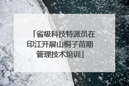 省级科技特派员在印江开展山桐子苗期管理技术培训