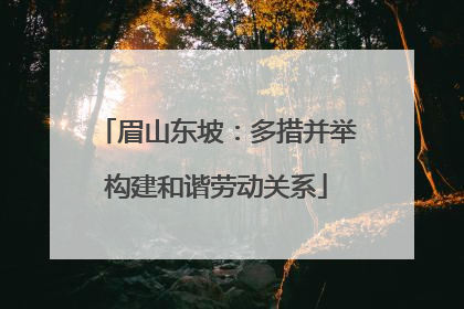 眉山东坡：多措并举构建和谐劳动关系