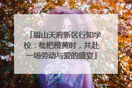 眉山天府新区行知学校：枇杷橙黄时，共赴一场劳动与爱的盛宴