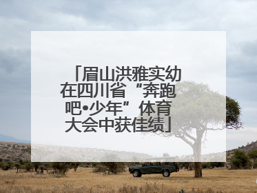 眉山洪雅实幼在四川省“奔跑吧•少年”体育大会中获佳绩