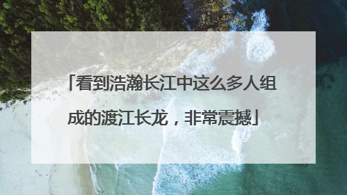 看到浩瀚长江中这么多人组成的渡江长龙，非常震撼