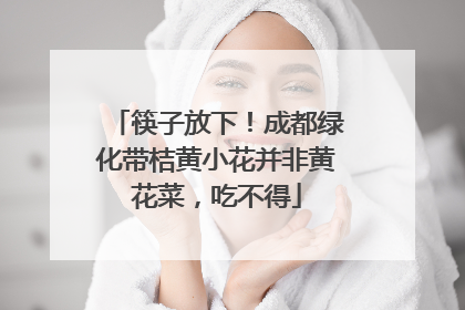 筷子放下！成都绿化带桔黄小花并非黄花菜，吃不得